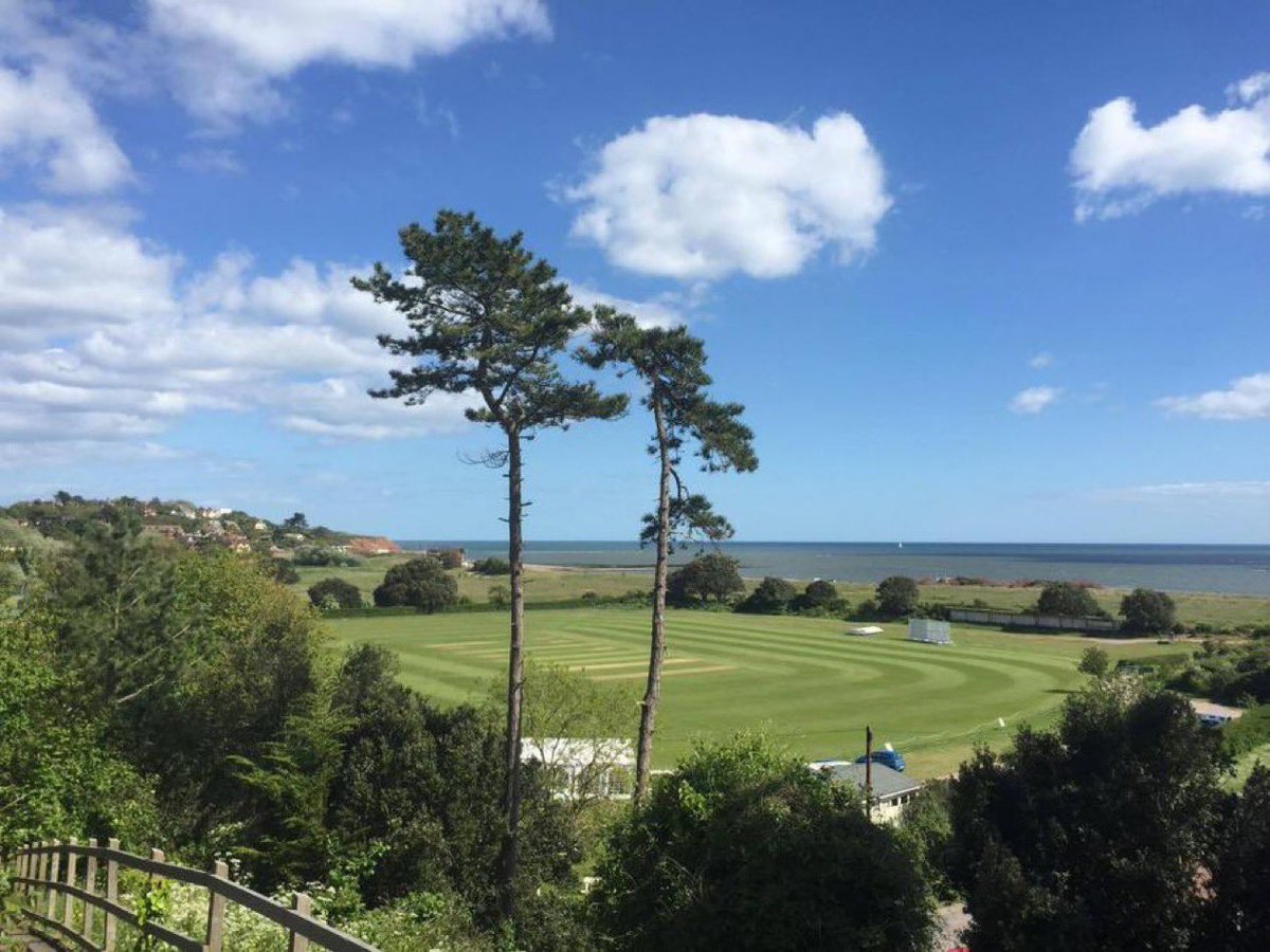 WG RumblePants tweet media