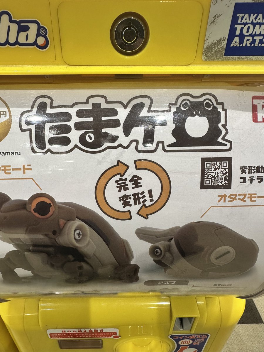 たま🐸 tweet media