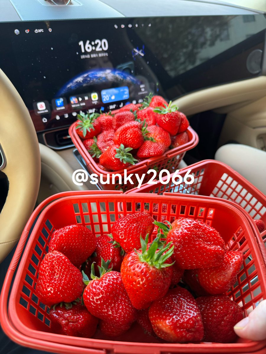 S+先生 tweet media