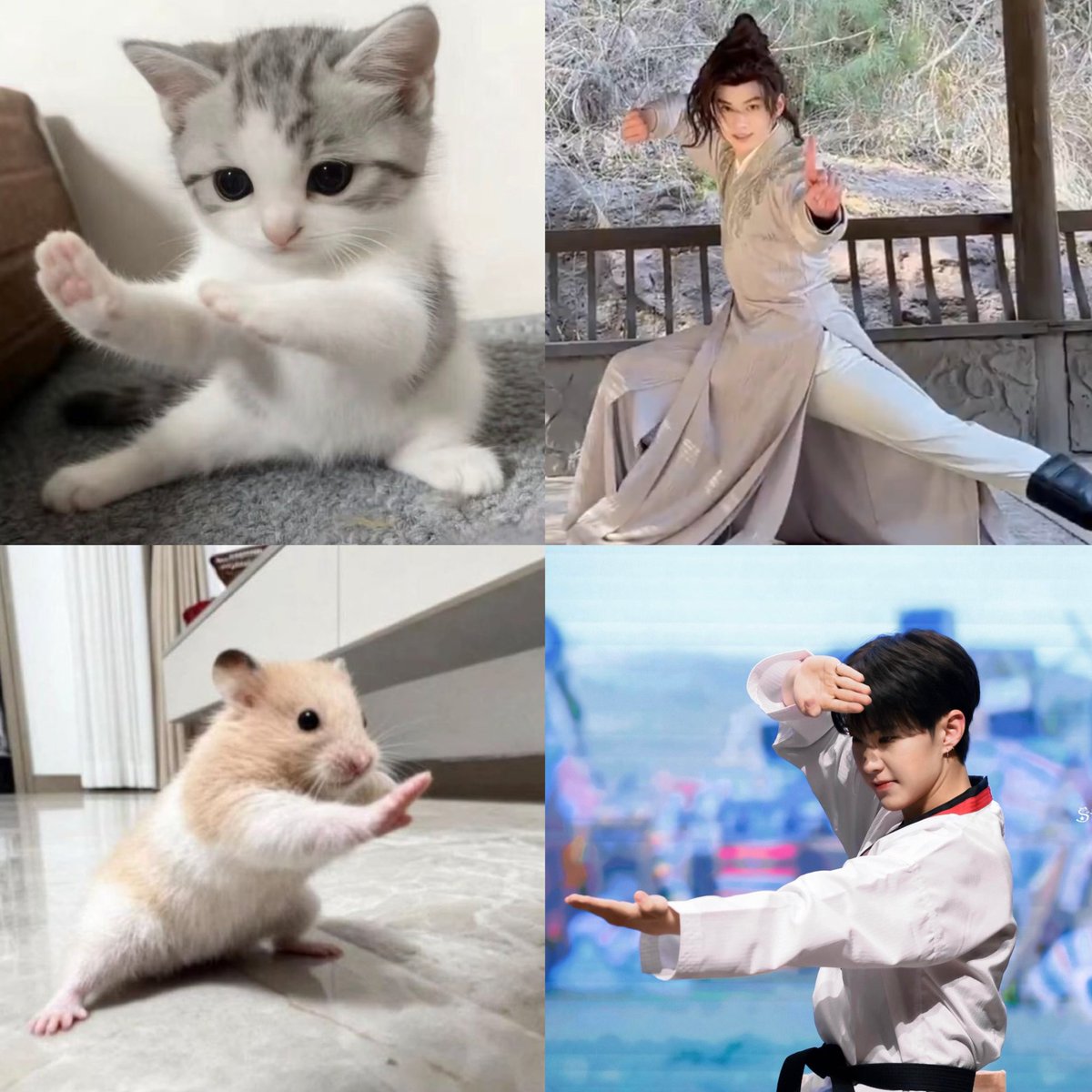 Soonhui, the paw-erful duo