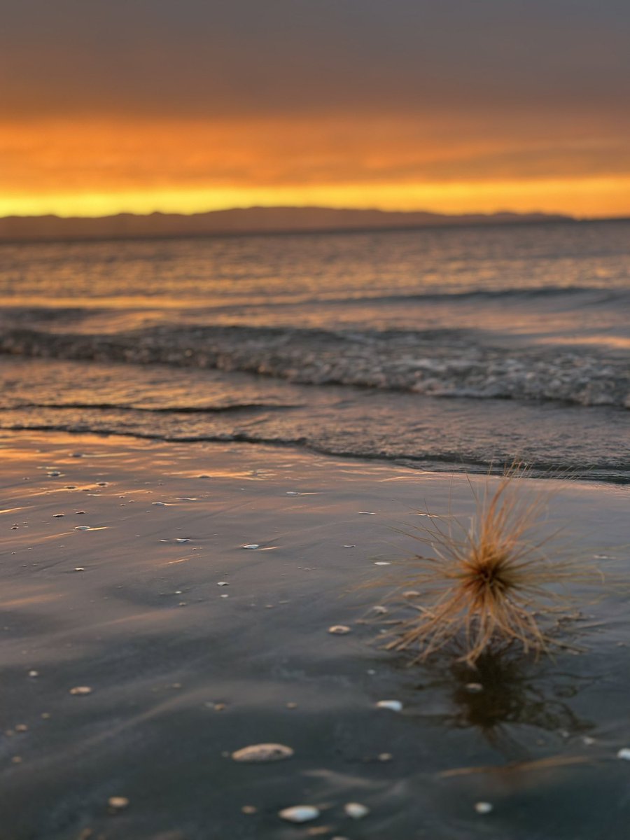 Cathryn 🇺🇦 tweet media