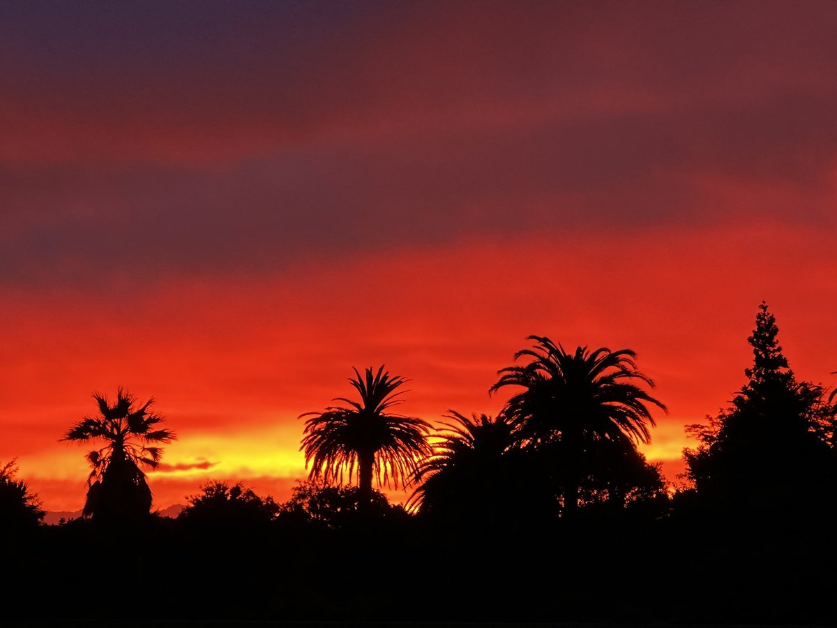 Cathryn 🇺🇦 tweet media