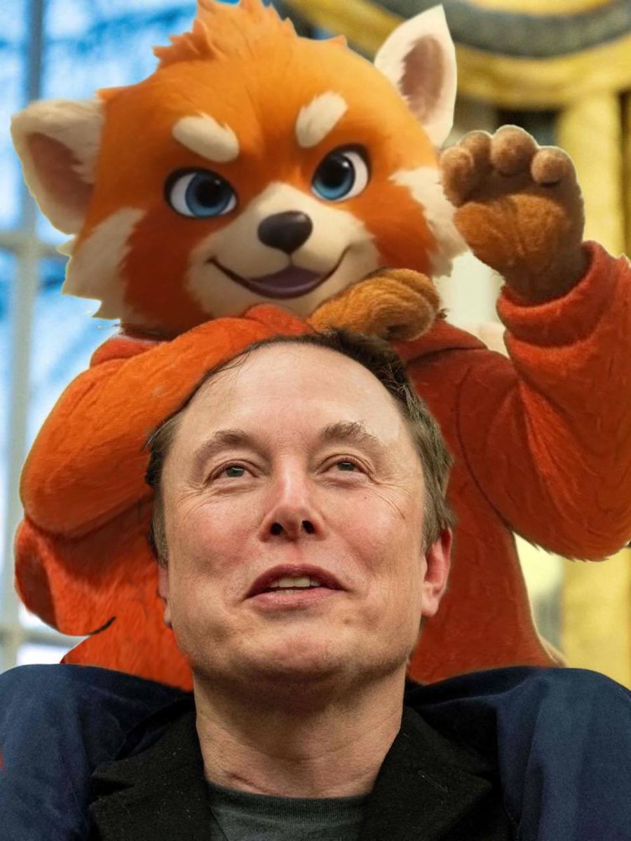 Good time to start loading up on $Rudi with Grok 4.20 releasing next week and then X money. 

Time for the companions to make a comeback!!!

I have admin rights to the telegram and have opened up chat for everyone to come chat and vibe.

<a href="/SolportTom/">Tom</a> <a href="/solportskg/">Solport SKG</a> <a href="/bonkfun/">BONK.fun</a> let’s