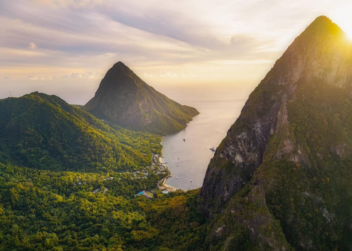 Travel Diaries tweet media