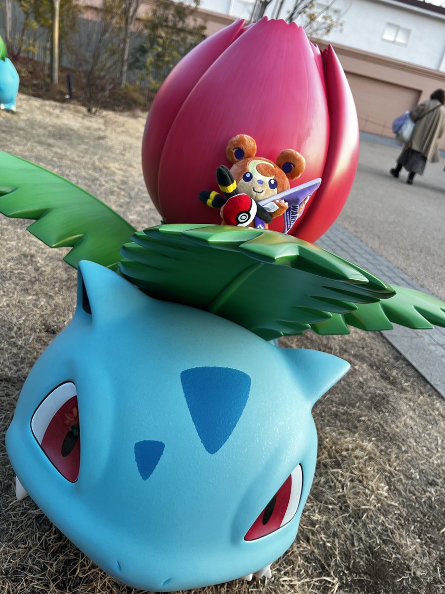 ポケパークカントー フシギソウとフシギバナ