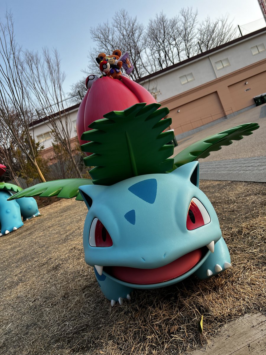 ポケパークカントー フシギソウとフシギバナ