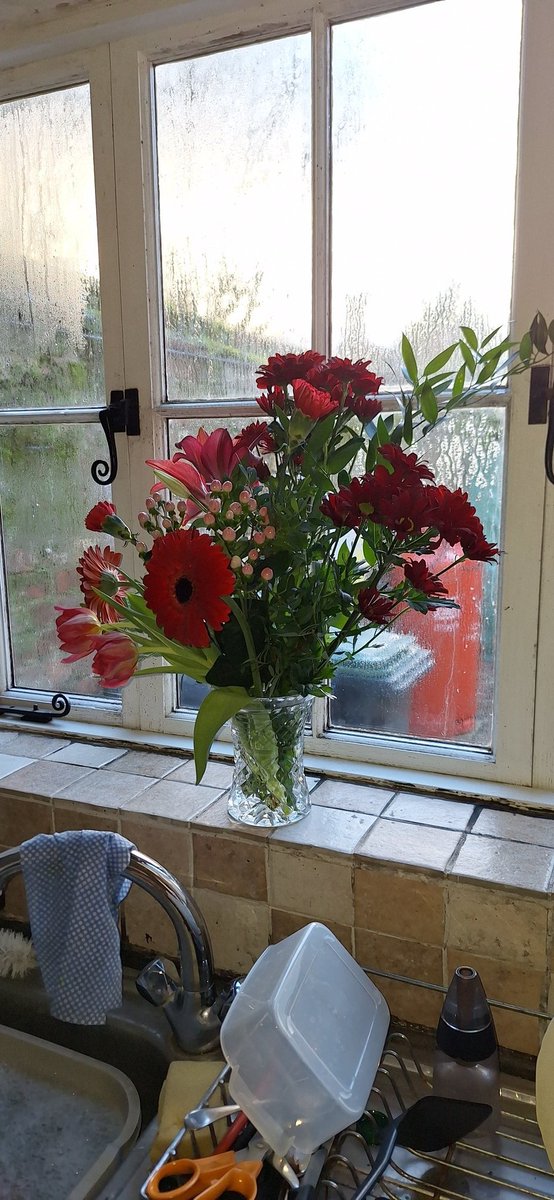 A big thank you to all who took time out of their day to send Me cards and messages on Valentine's Day,especially <a href="/DavidPilli1628/">dp123</a>
who always sends the most beautiful of verses, special gifts and spoils Me way more than he really ought.