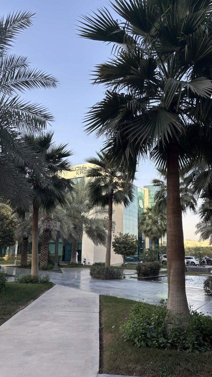 يا ربّ، اجعل أحلامي تشرق مع الصباح، فما لي سوى نورها حين تشرق🤍