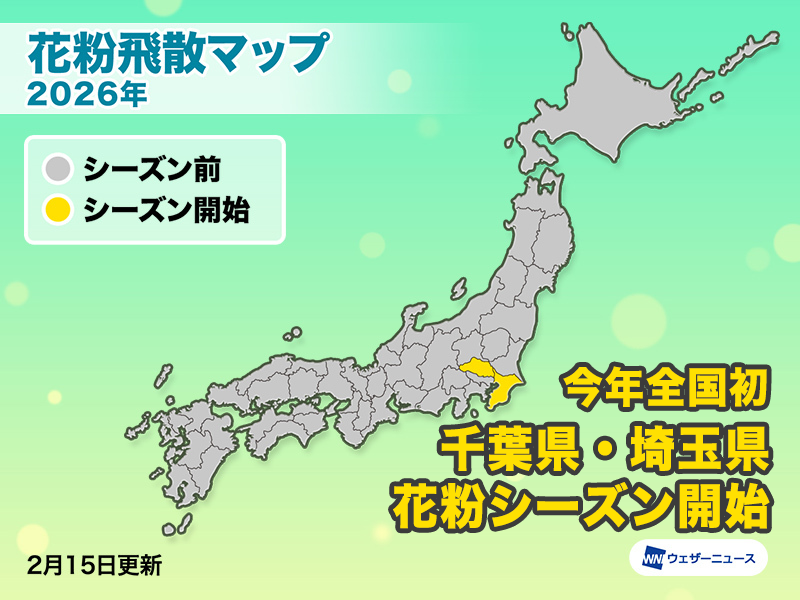 wni_jp's tweet image. ＜いよいよ花粉シーズン＞
千葉県と埼玉県は今日2月15日(日)、スギ花粉の飛散シーズンに入りました。
昨年（福岡県・1月25日）と比べると3週間ほど遅い飛散開始です。
weathernews.jp/news/202602/15…