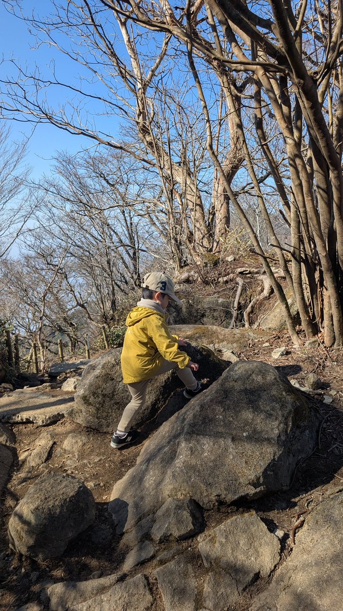 lang@2025年土地家屋調査士受験 (@kokorokeroro) / Posts / X