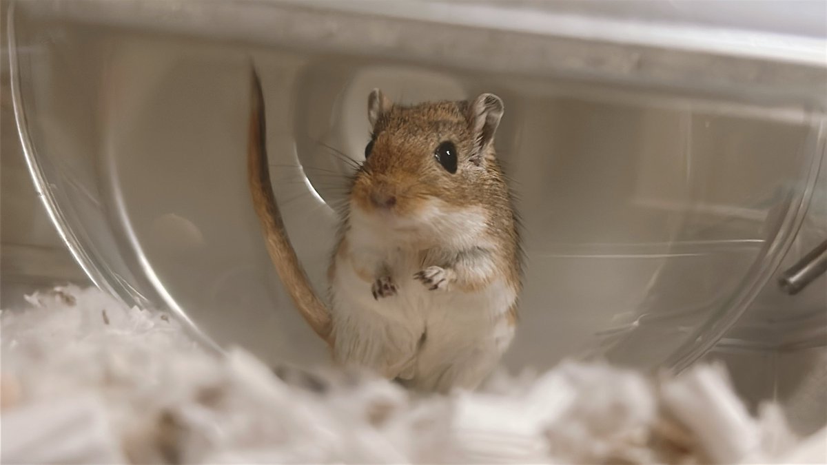 最近で1番盛れました！
若く見えますね