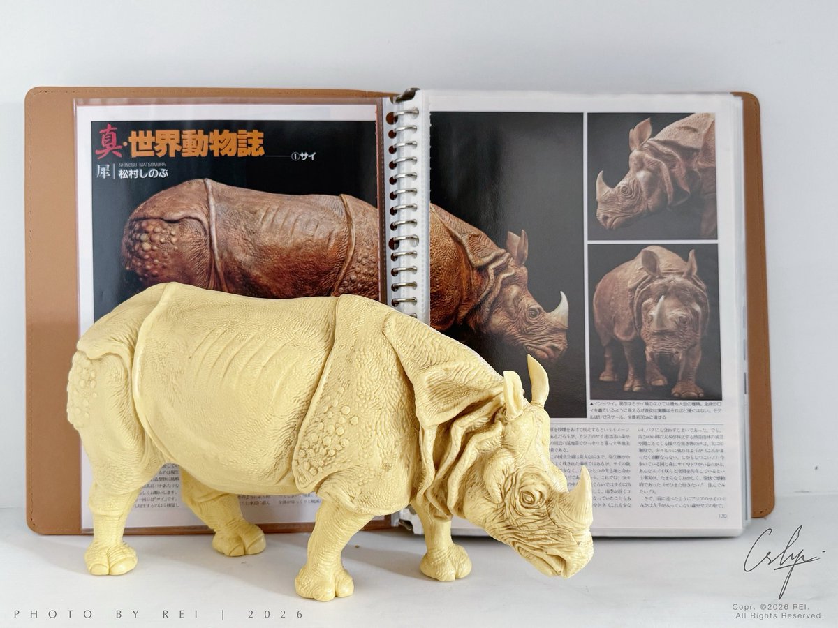 SkilletRei's tweet photo. 海洋堂 Kaiyodo 印度犀，真·世界动物志第一期于1989年刊载于Hobby Japan上，主角是松村忍的作品：1/12比例的印度犀，第三张图里同样是松村忍的作品：1/12黑犀牛，比印度犀小了整整一圈。 https://t.co/2aGz3JiKzy