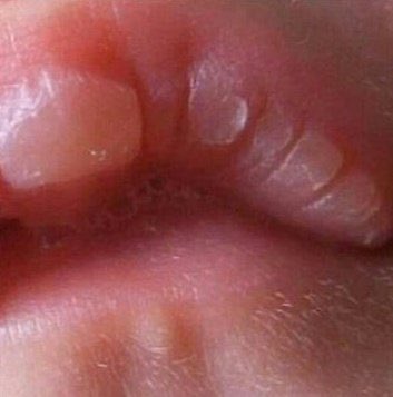 وليم شكسبير tweet media