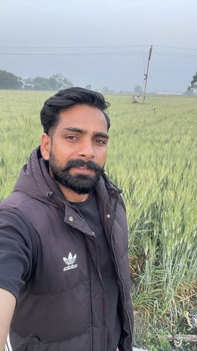 Jaatbhupend's tweet photo. गांव की सुबह और किसान का सोना 🌾 https://t.co/iGBUs3QiPo