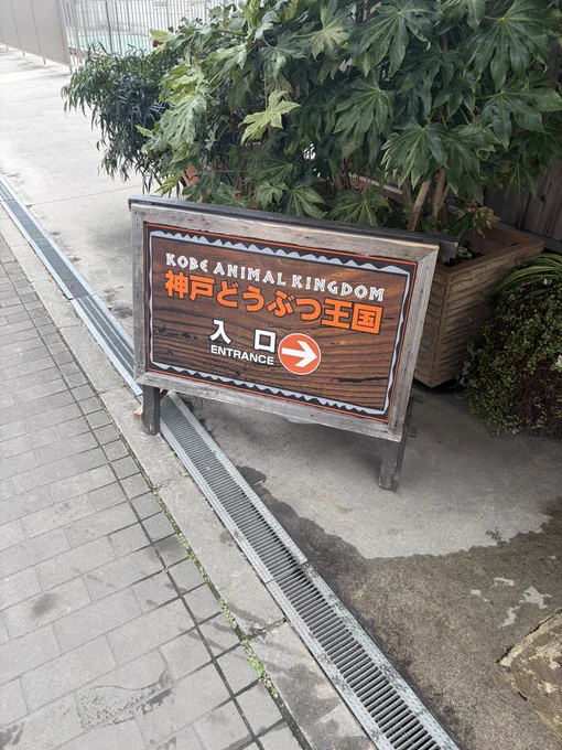 展のあとは王国へ