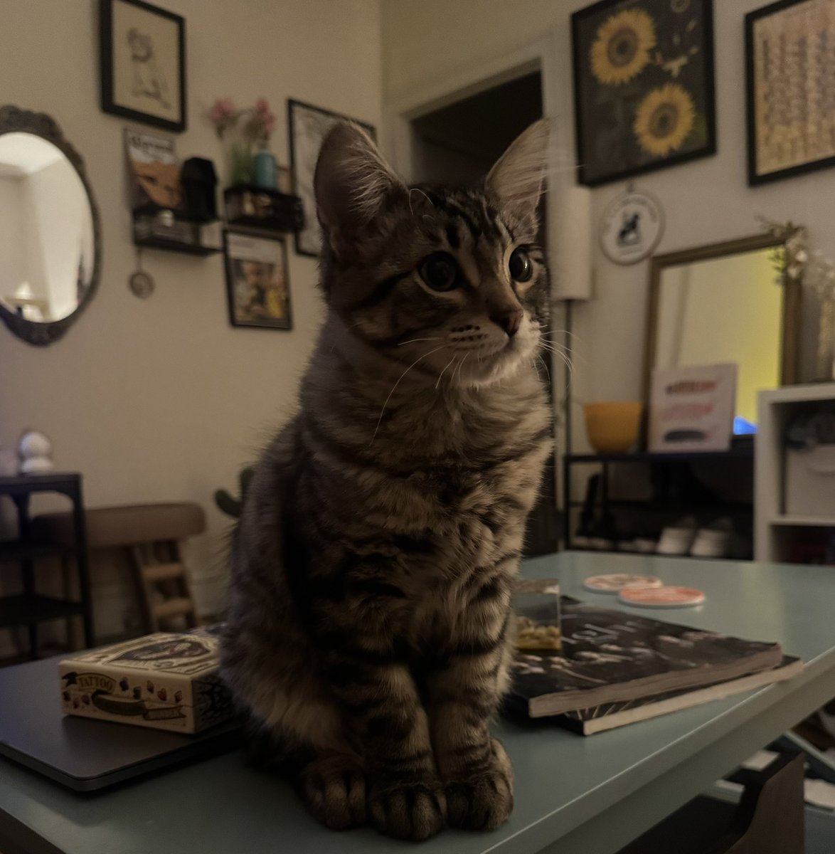 he doesn't know he's getting his balls chopped off in 6 hours