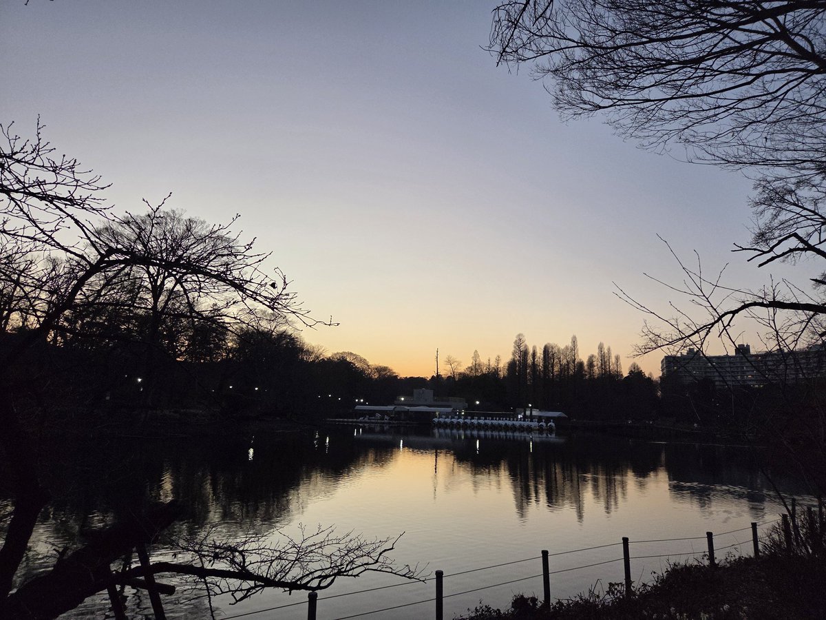 ごっつりしたものを食べたので公園をお散歩。