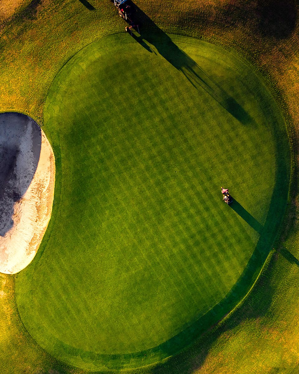 Commonwealth Golf Club tweet media