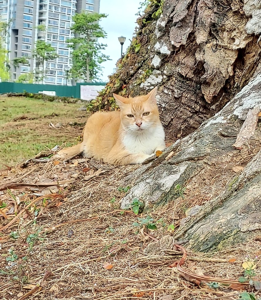 Chilling onna Sunday morning