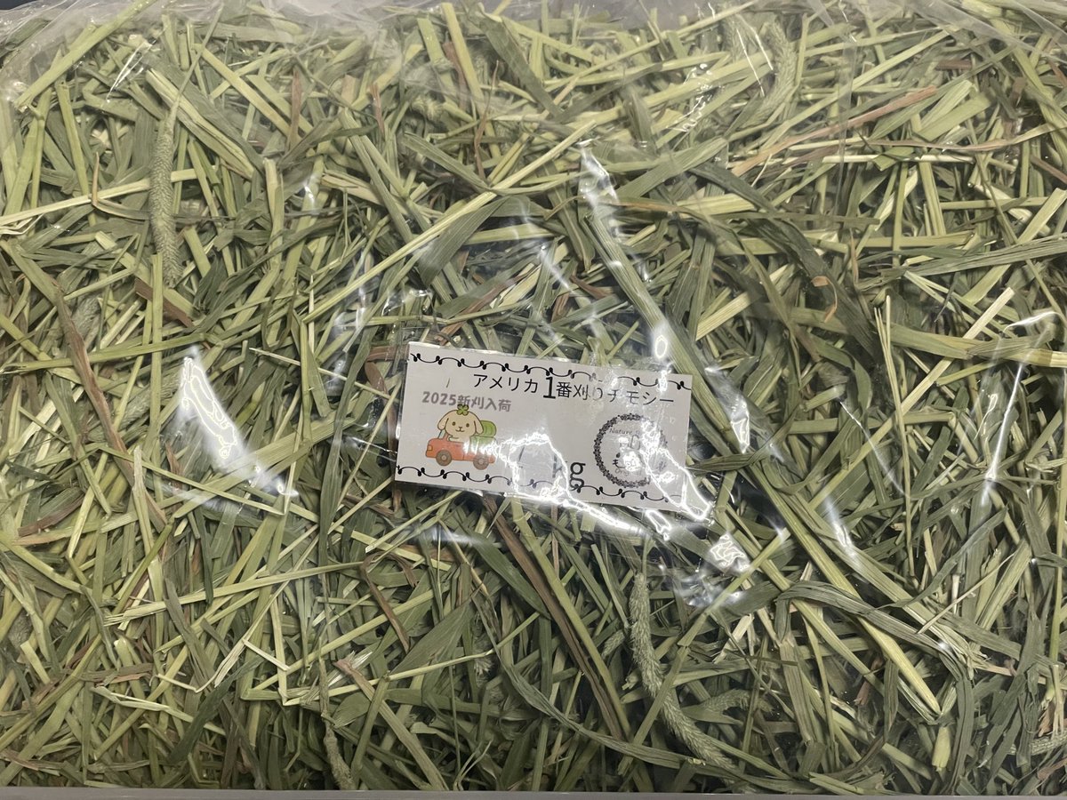 poco___a_poco's tweet photo. 長いことカナダ2番で柔らかい葉を好んで茎はポイだったのが、いつの間にか茎を好んで食べるようになってたから思い切ってアメリカ1番にしてみた！ https://t.co/iVvwVTsRU5