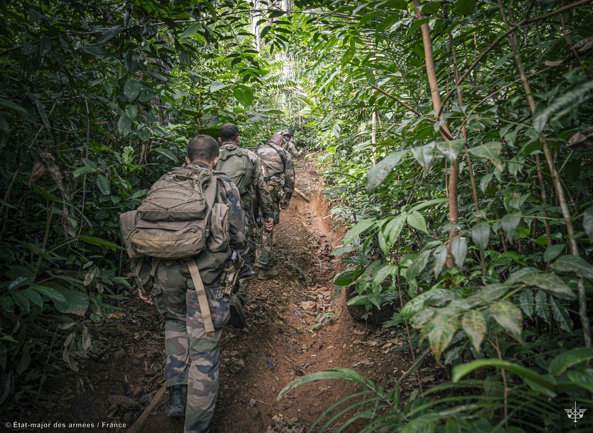 Armée française - Opérations militaires tweet media