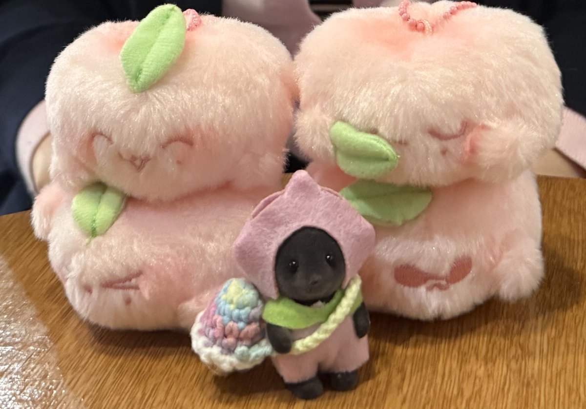 애드라 복숭아 두두지 ㅁㅊ 권력쩔지