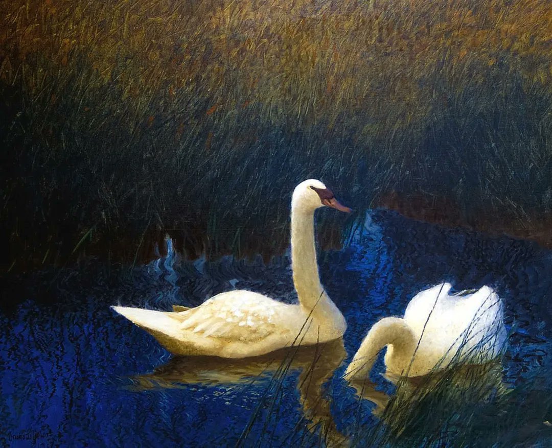 AcademiaAesthe1's tweet photo. Bruno Liljefors - "Swans in Reeds" (1907) https://t.co/l0keq7cf9e