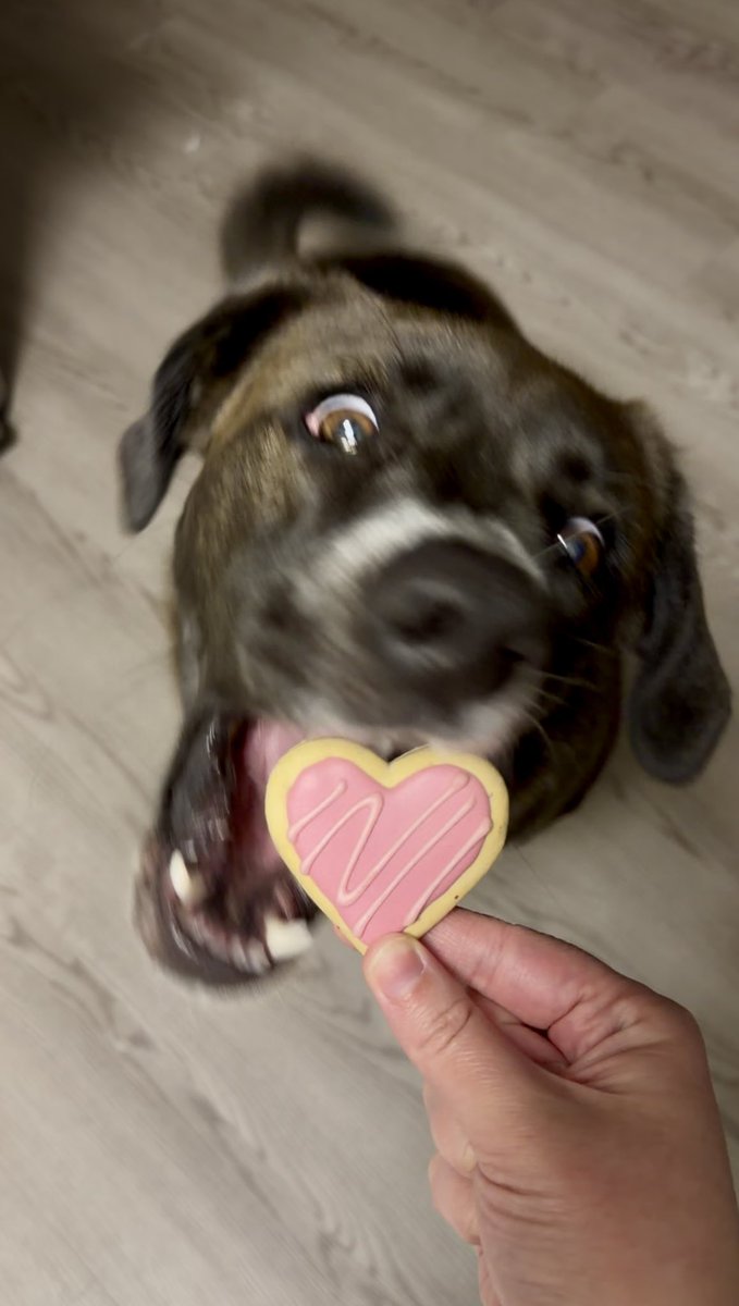 Happy Valentine’s Day from Ellie 💕