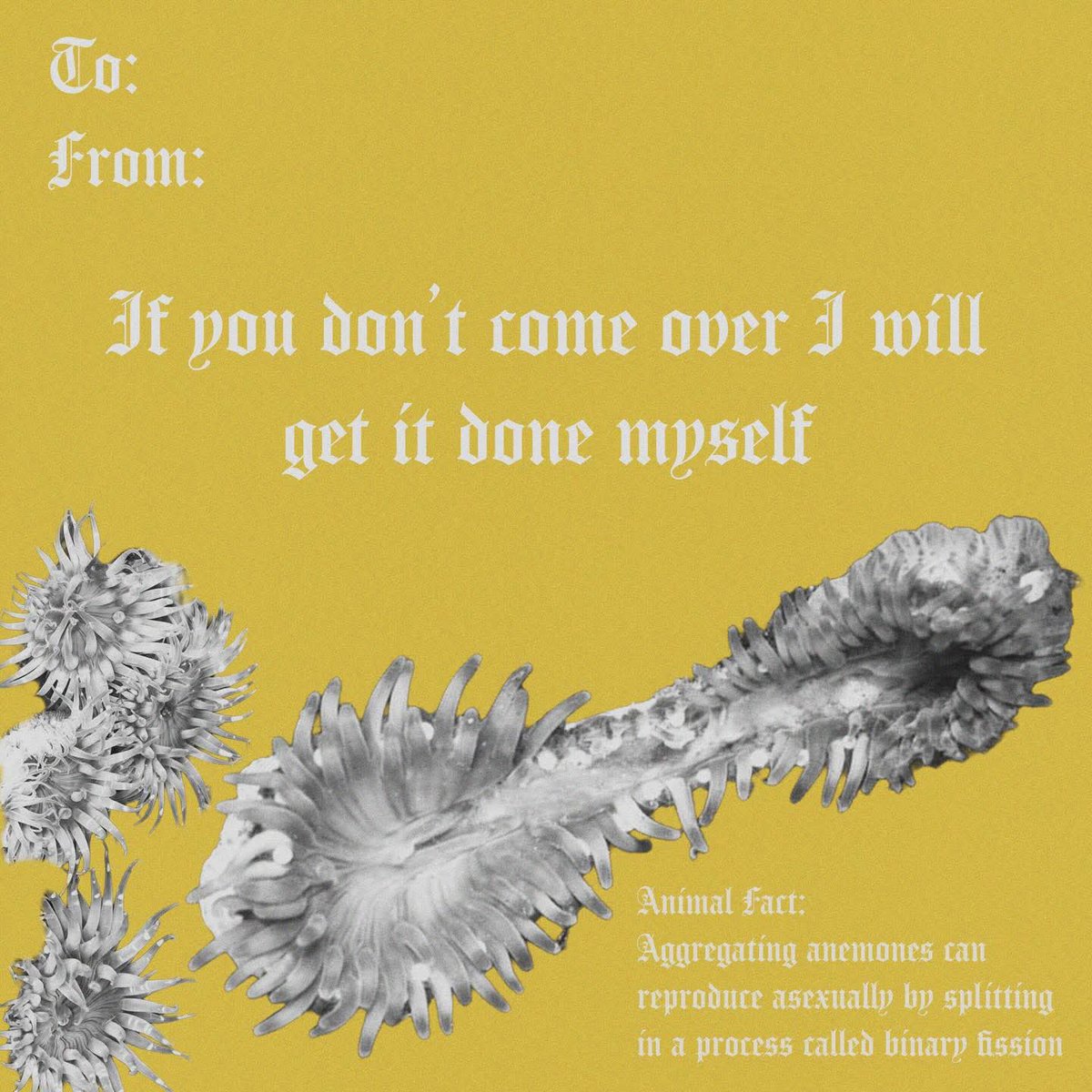 laserspine (@canthonkthis) on Twitter photo 