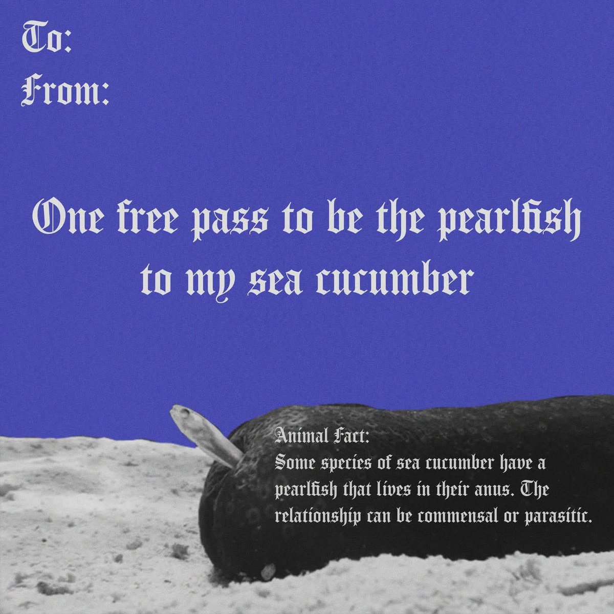 laserspine (@canthonkthis) on Twitter photo 