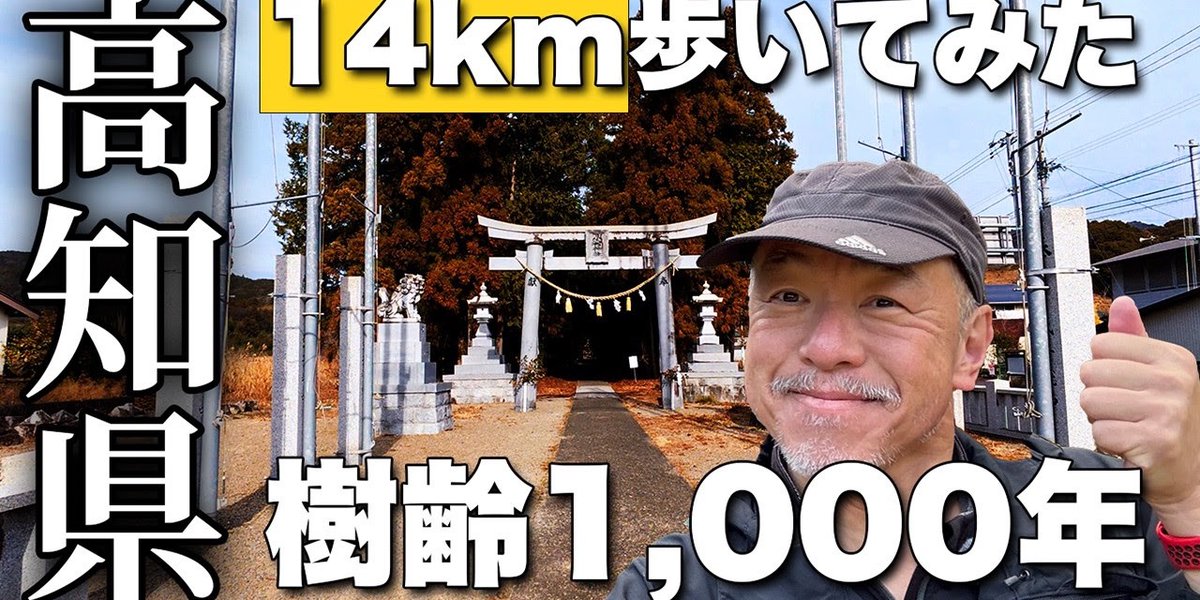 樹齢1000年の神木【高知観光】64歳が14km歩く！オムライス街道周回コース【旅行VLOG、レビュー】 #高知県 #日高村 #小村神社 #日下川 #江尻地区親水公園 #国道33号線 #わのわ
youtube.com/shorts/6UcZCeM…
