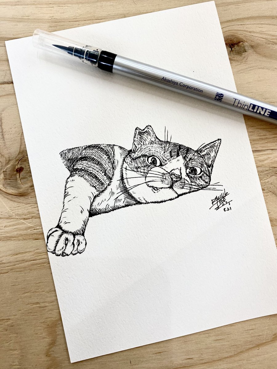 #私はこういう絵を描いています
筆ペン一本で、モノクロームの世界を描いています✒︎