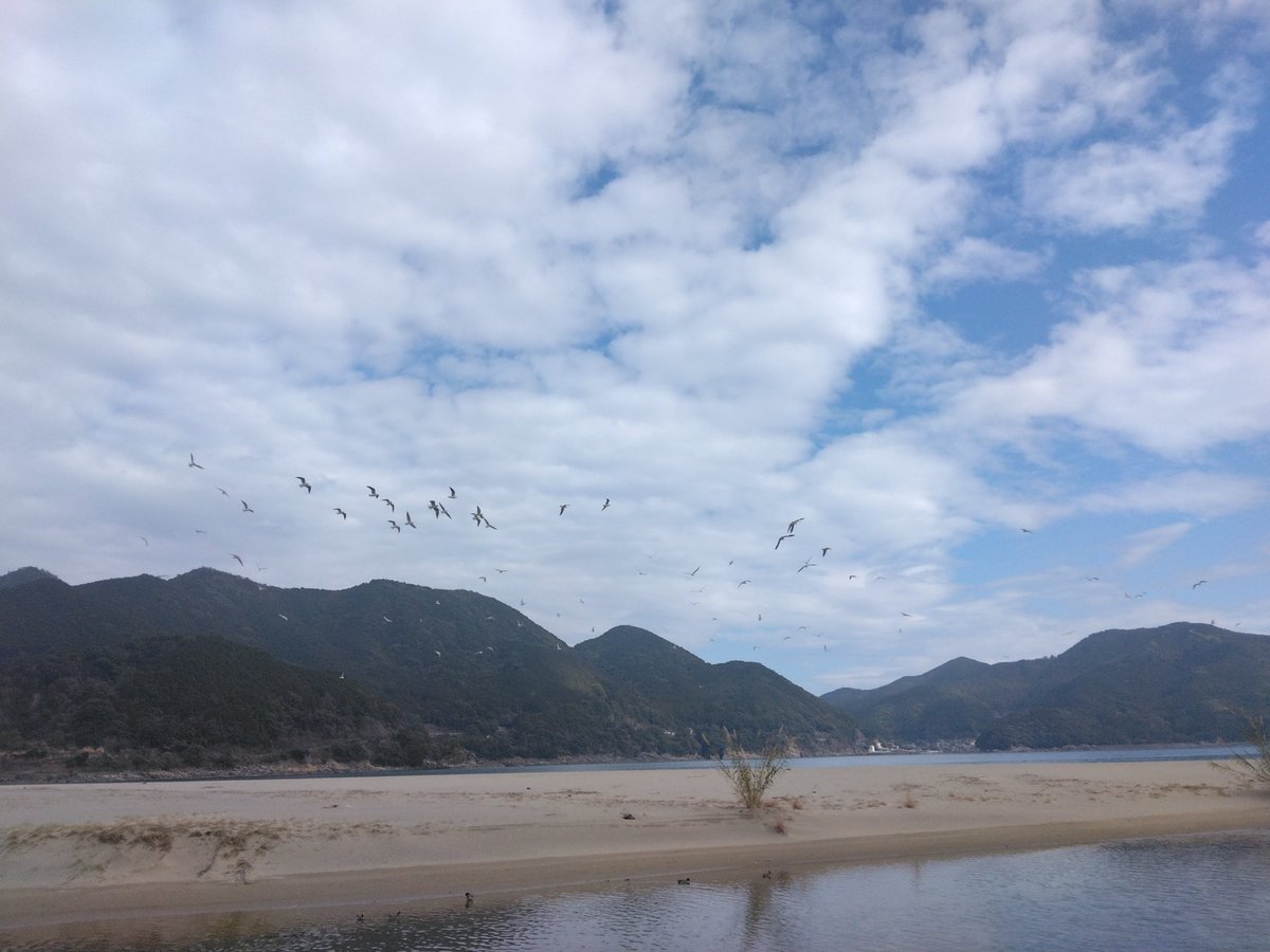 in新鹿

今日の新鹿は少し曇り空