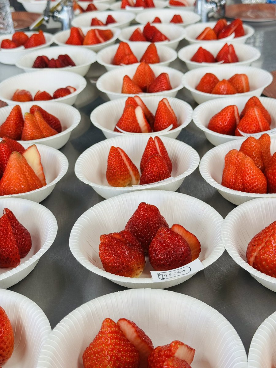 いちごを楽しむ会！！！ 設営完了！！！