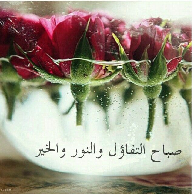 ومن تمام حُسنِ الظن بالله ، أن يستقر في قلبك أنه لا خيرَ لكَ في شيءٍ مُنِعتَ عنه ، وأن رحمةَ اللهِ بالحِرمان لا تقِلُّ عن رحمته بالعطاء🙏🏻💛🍃🍃