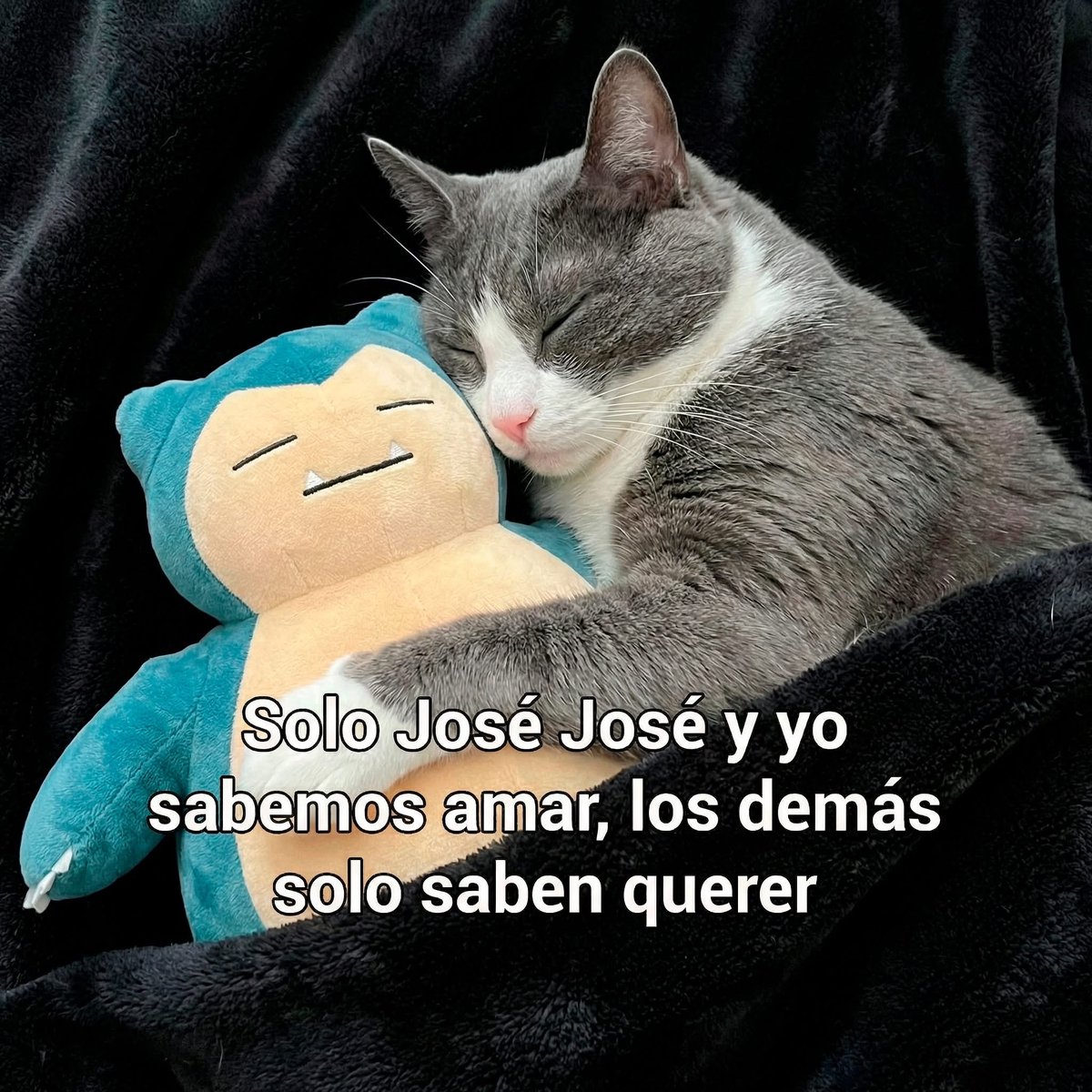 El Guarromántico tweet media