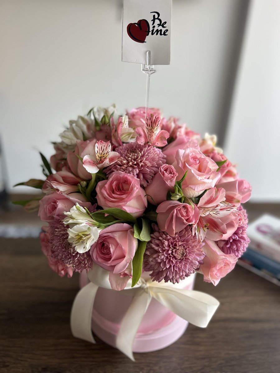 Vane Gamez tweet media