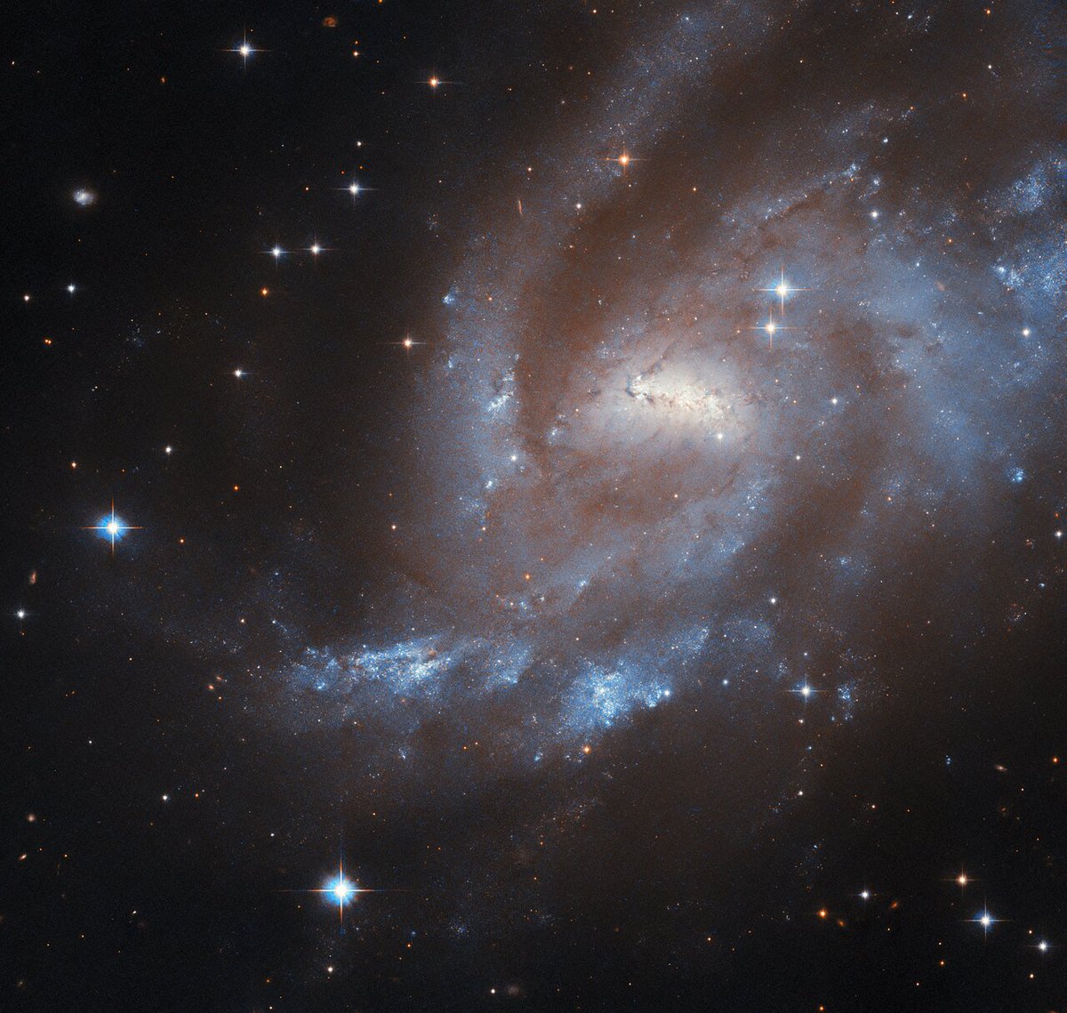 YourDailySpaceNude tweet media
