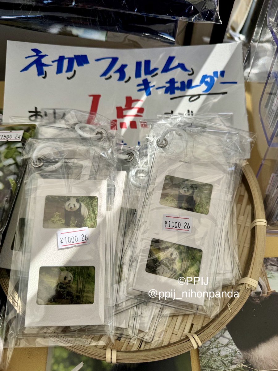 ウエノデ.パンダ春節祭2026、上野公園で大盛況のうちに終了