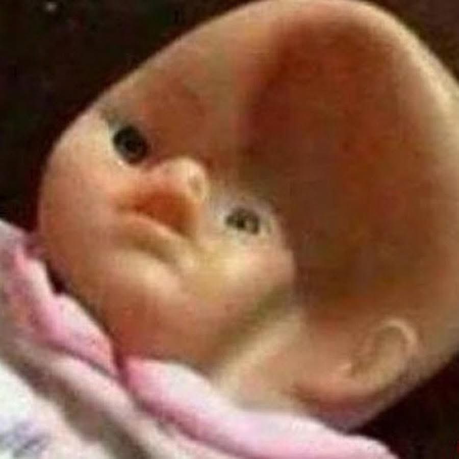 夏篠響🦋🍁@𝐃𝐢𝐠𝐢𝐭𝐚𝐥 𝐃𝐫𝐞𝐚𝐦𝐞𝐫所屬 tweet media