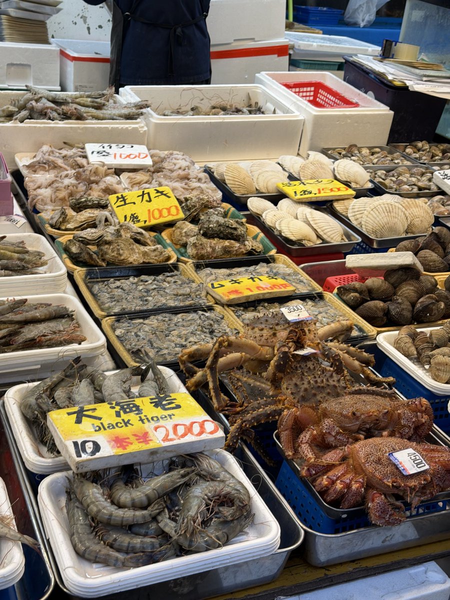 pydhtw's tweet image. Ketika foto ngasal tapi lo di Jepang

#日本の風景
#写真