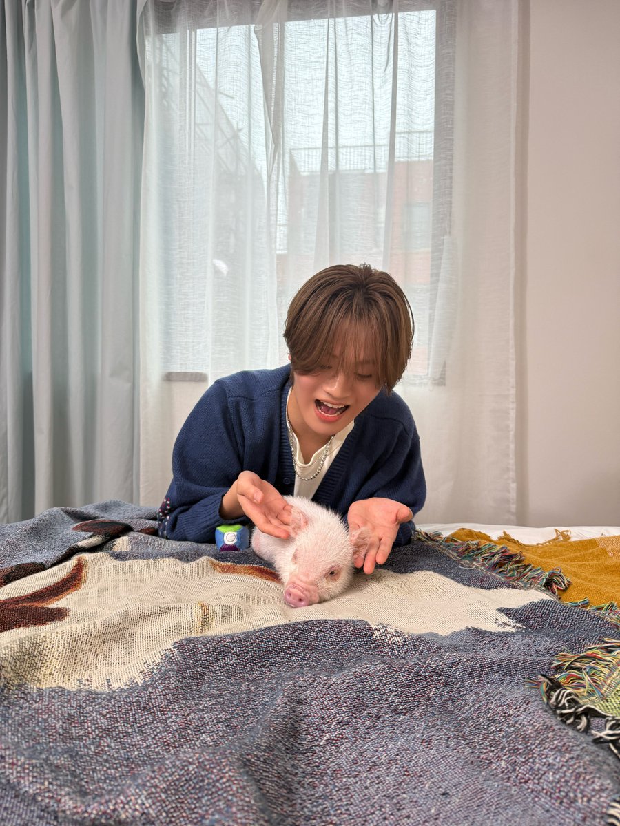 mazzel_official's tweet photo. ぶた

#豚
#pig
#돼지

#KAIRYU #MAZZEL
#まぜジャック 
#MAZZEL_BANQUETBANG https://t.co/AHw8JG3oEL