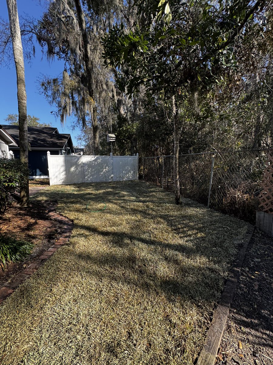 Space Kadet tweet media