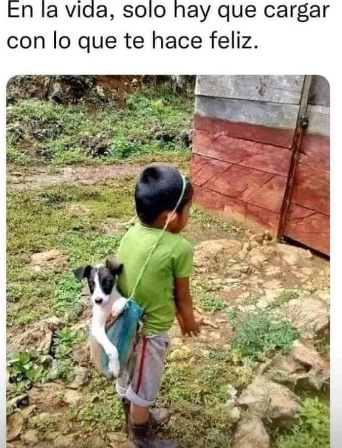 elegante2011's tweet photo. En la #vVda, solo hay que cargar con lo que te hace #Feliz. 🤗💞🥰
#AmorPorLosAnimales👇☺️🌹 https://t.co/H3LJwtv65T
