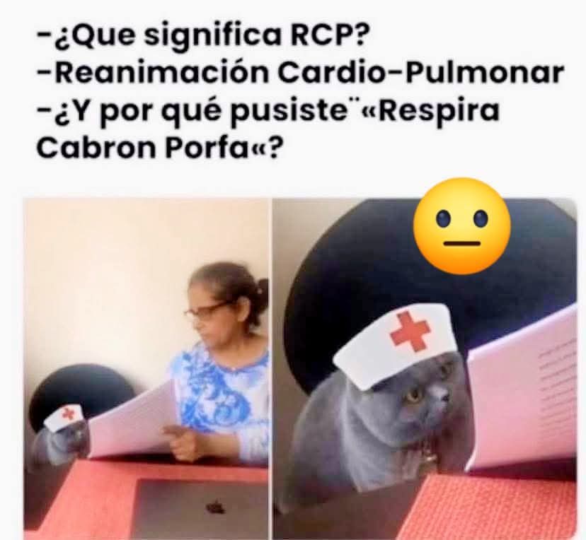 TuzitaMemeX (@tuzitaxtuitera) on Twitter photo 