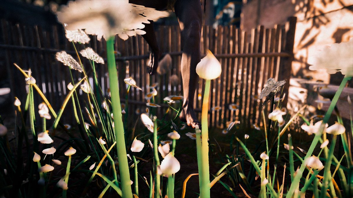 Assassins Creed Odyssey
#ACPhotoMode