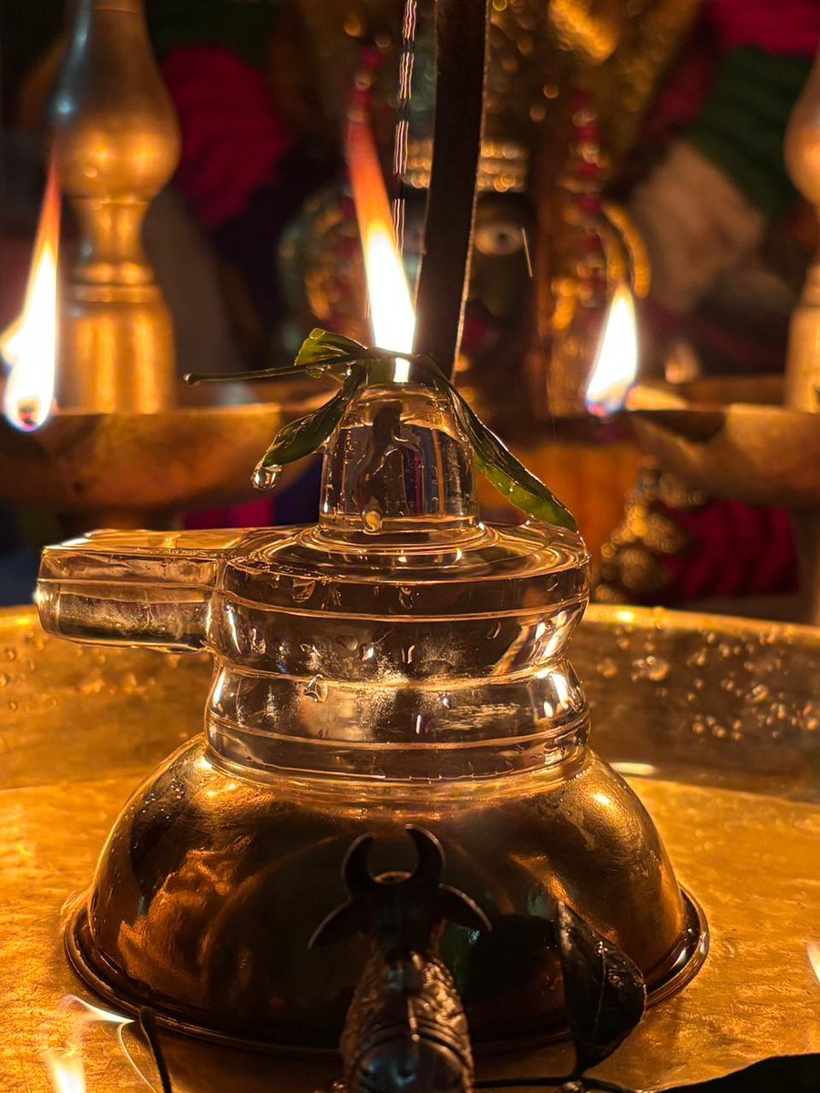 Badboy90909090's tweet photo. On the sacred occasion of 
#MahaShivaratri , we are performing a special pooja at our home

#Mahashivratri2026 https://t.co/o6BiCUrfe8