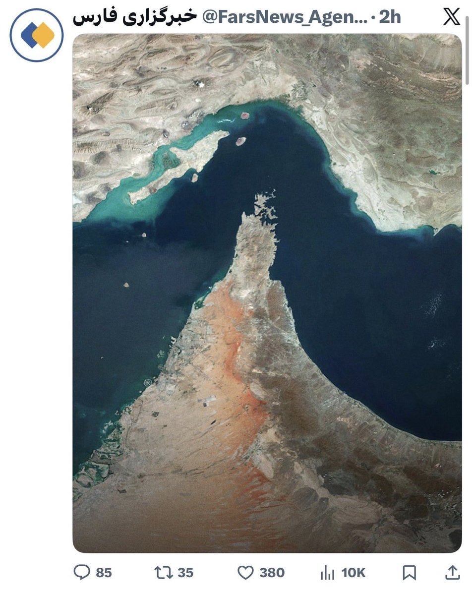 Little Think Tank tweet media