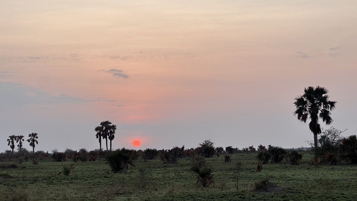 A nice way to start the day. Good morning beautiful Uganda 
📍Murchison Falls National Park