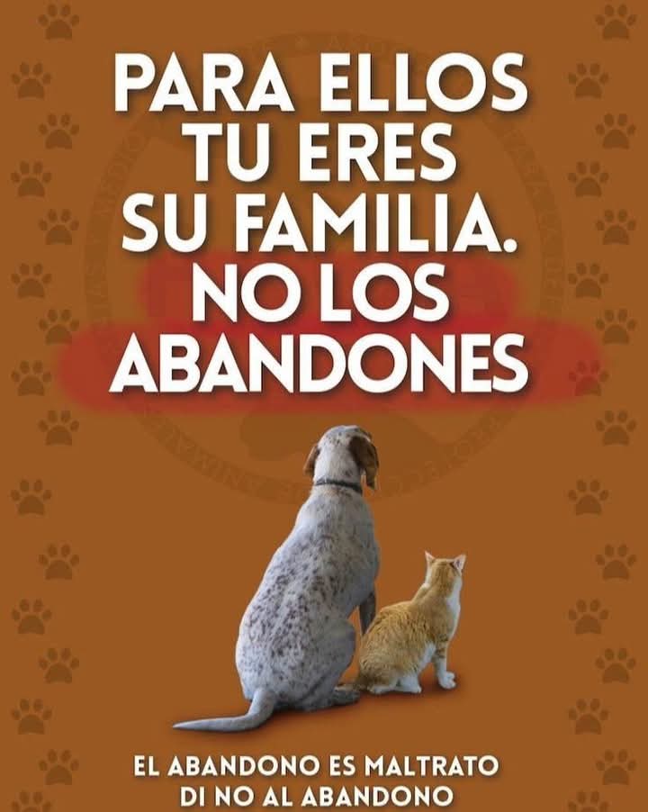 NO AL ABANDONO.